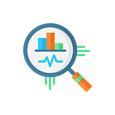 Custom Analytics and BI Solutions