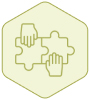 Customized Solutions