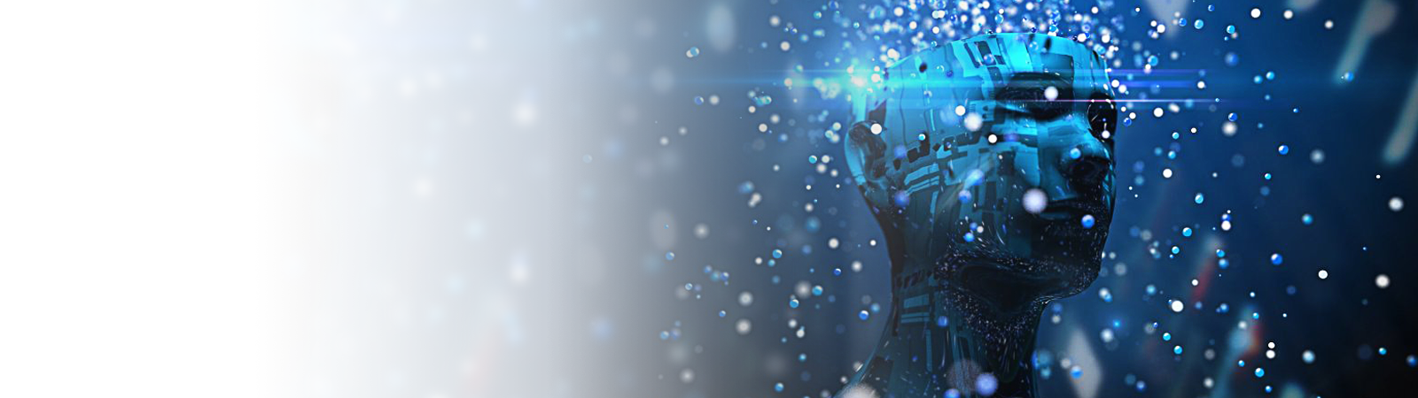 Chatbot Banner