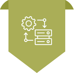 Migration Execution