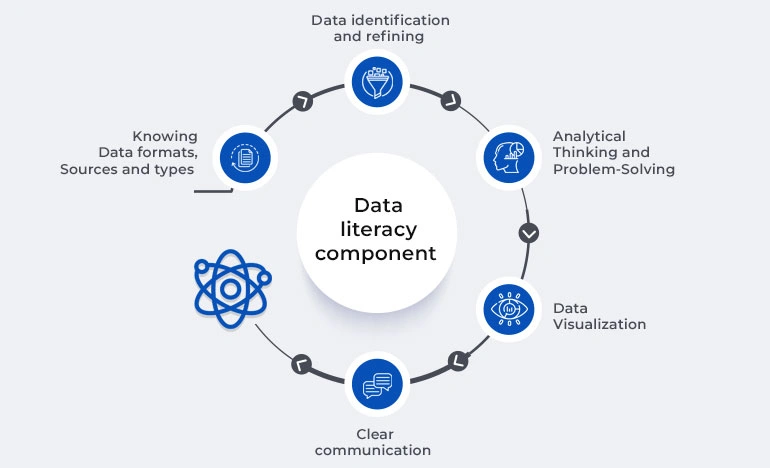 Data literacy component 