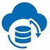 Backup & Disaster Recovery Icon